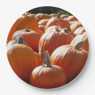 Plato De Papel Fotografía de calabazas para Caída, Halloween o Dí