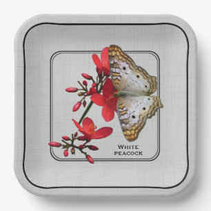 Plato De Papel Fotografía de cierre de mariposa de pavo real bla