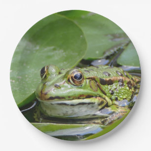 Plato De Papel Fotografía de Frog Green Lily Pad