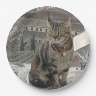 Plato De Papel Fotografía de gato con ojos verdes Placa de papel