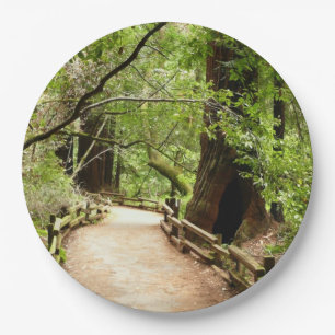 Plato De Papel Fotografía de la Naturaleza de Camino II de Muir W