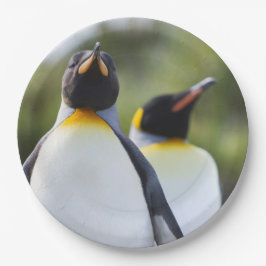 Plato De Papel Fotografía de los pingüinos del rey orgulloso