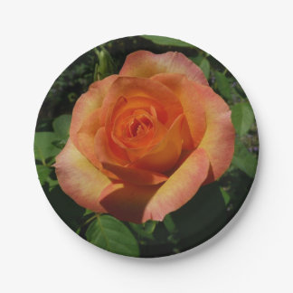 Plato De Papel Fotografía de Peach Rosa Naranja Floral