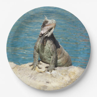 Plato De Papel Fotografía de vida salvaje tropical de Iguana en S