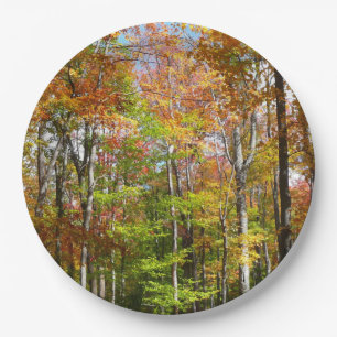 Plato De Papel Fotografía del paisaje otoñal del bosque otoñal II