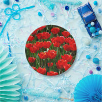 Fotografía elegante de Tulipanes y Flores Florales