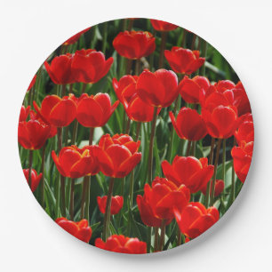 Plato De Papel Fotografía elegante de Tulipanes y Flores Florales