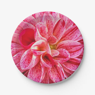 Plato De Papel fotografía floral rosa contemporánea