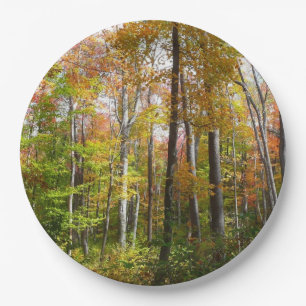 Plato De Papel Fotografía paisajística de otoño en el bosque otoñ
