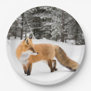 Plato De Papel Fox roja en nieve blanca