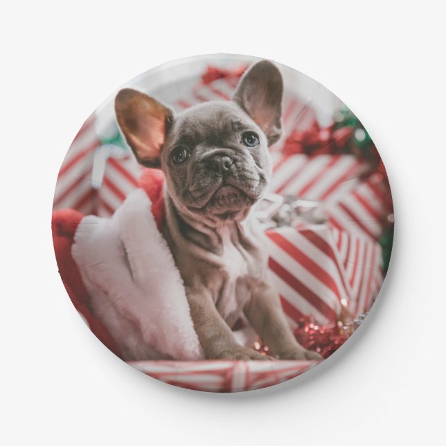 Plato De Papel French Bulldog in Christmas Hat (Anverso)