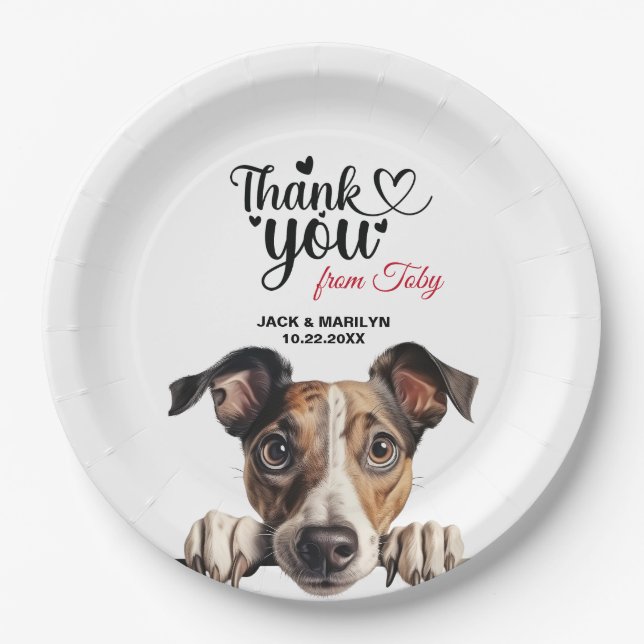 Plato De Papel Galgo (Anverso)