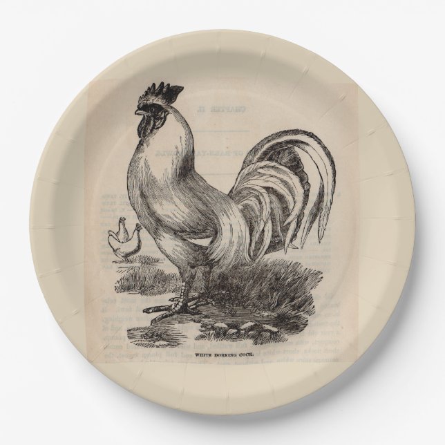 Plato De Papel Gallo Dorking blanco del siglo XIX (Anverso)