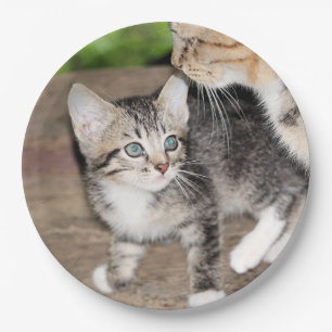 Plato De Papel Gatito