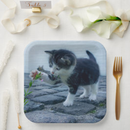 Plato De Papel Gatito