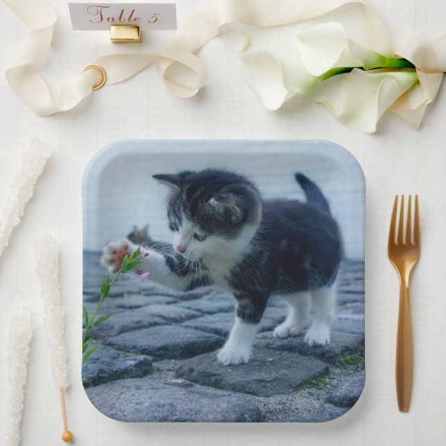 Plato De Papel Gatito (Boda)