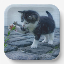 Plato De Papel Gatito