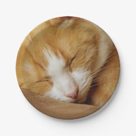 Plato De Papel Gatito durmiente