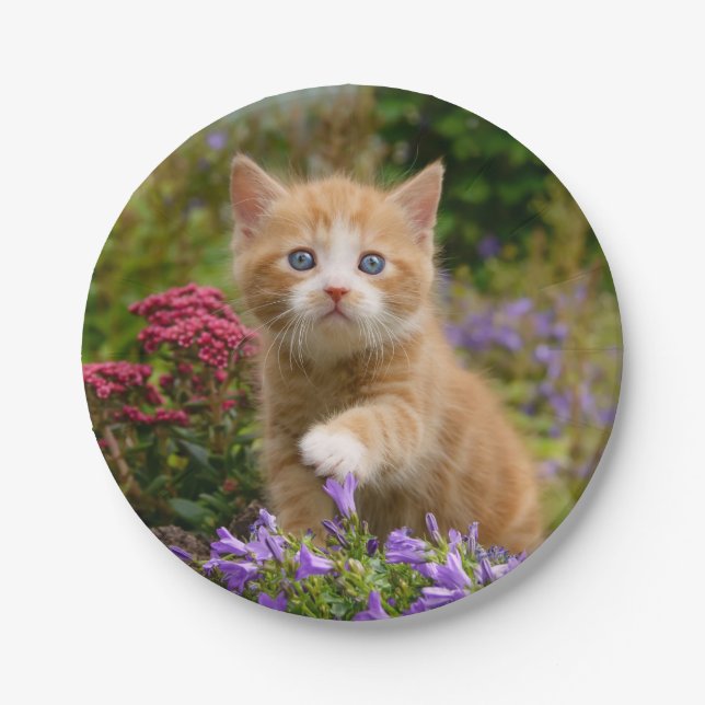 Plato De Papel Gatito lindo del jengibre en un jardín (Anverso)