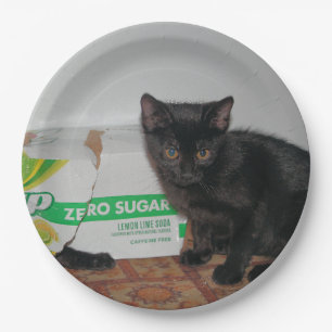 Plato De Papel Gatitos
