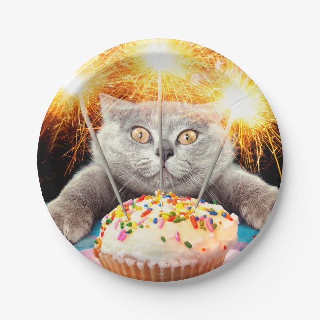 Plato De Papel Gato Con Pastel De Esparkler (Anverso)