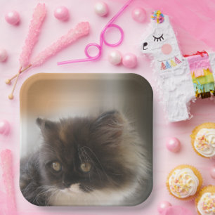 Plato De Papel Gato de corte