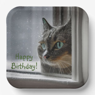 Plato De Papel Gato de cumpleaños gatito