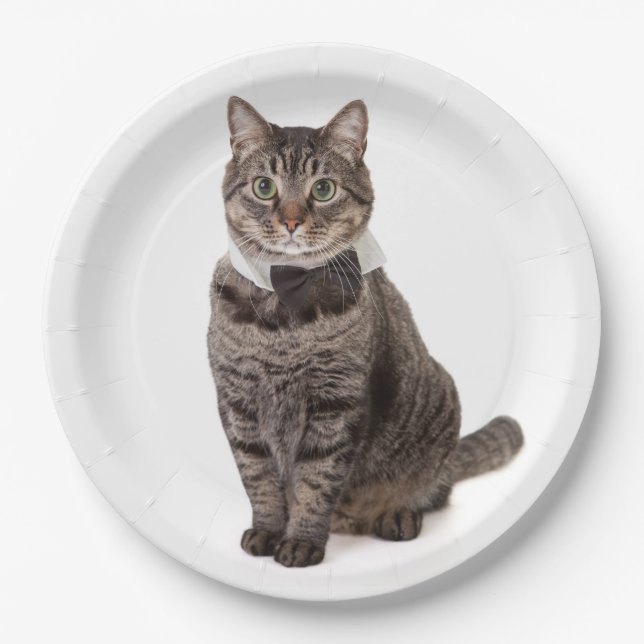 Plato De Papel Gato en Tuxedo (Anverso)