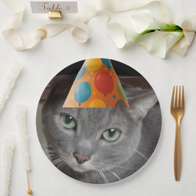 Plato De Papel Gato gris Gorra fiesta (Boda)