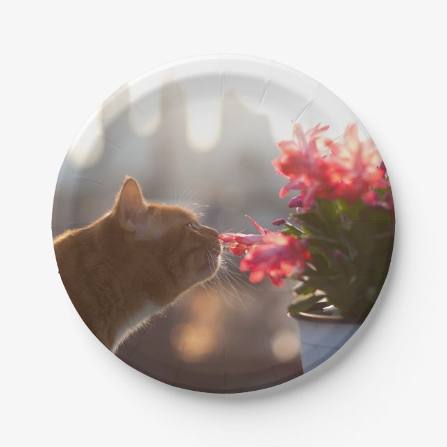 Plato De Papel Gato jengibre esnifando una flor roja (Anverso)