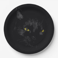 Gato negro