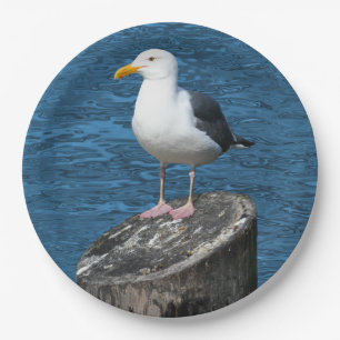 PLATO DE PAPEL GAVIOTA