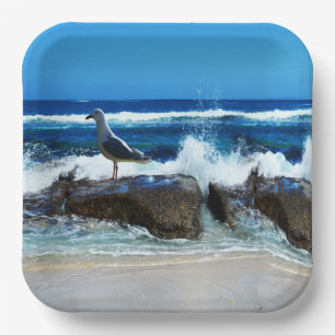 Plato De Papel Gaviota En Rocas De Playa,