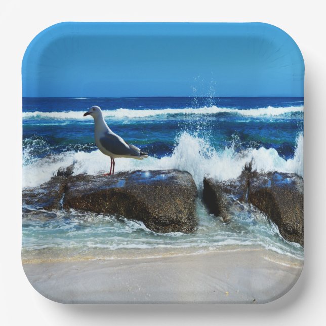 Plato De Papel Gaviota En Rocas De Playa, (Anverso)