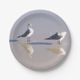 Plato de Papel Gaviota Ventosa