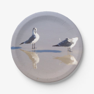 Plato de Papel Gaviota Ventosa