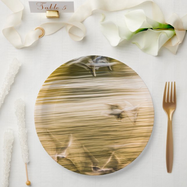 Plato De Papel Gaviotas voladoras - abstractas (Boda)
