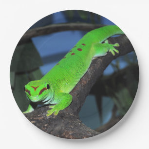 Plato De Papel Gecko del día de Madagascar