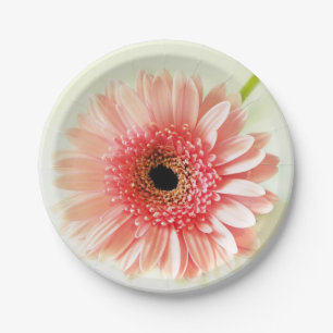 Plato De Papel Gerbera Daisy