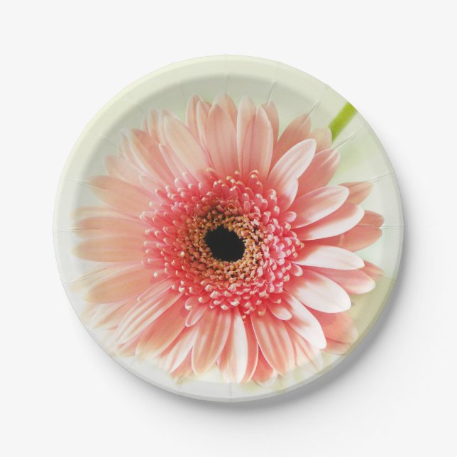 Plato De Papel Gerbera Daisy (Anverso)