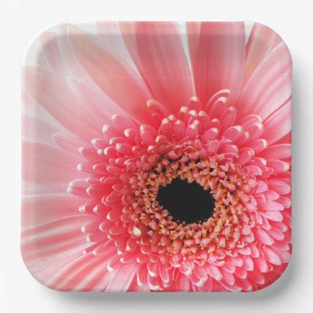 Plato De Papel Gerbera Daisy (Anverso)