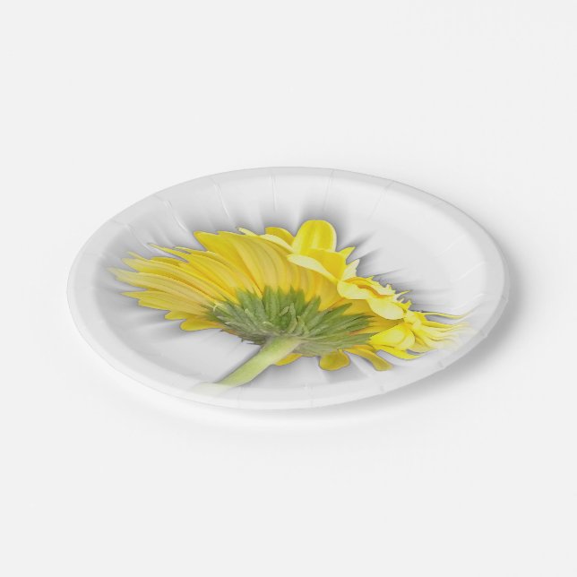 Plato De Papel gerbera daisy amarillo (Angular)