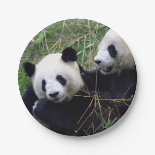 Plato De Papel Gigante Panda osos comiendo bambú (fiesta infanti