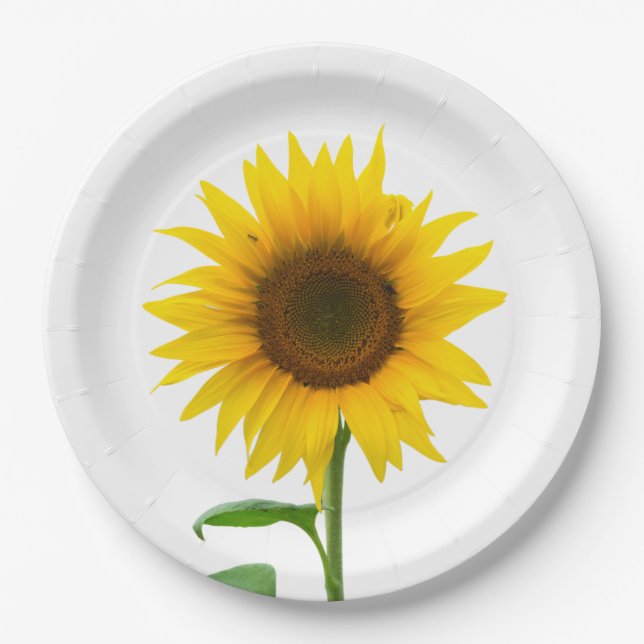 Plato De Papel Girasol (Anverso)