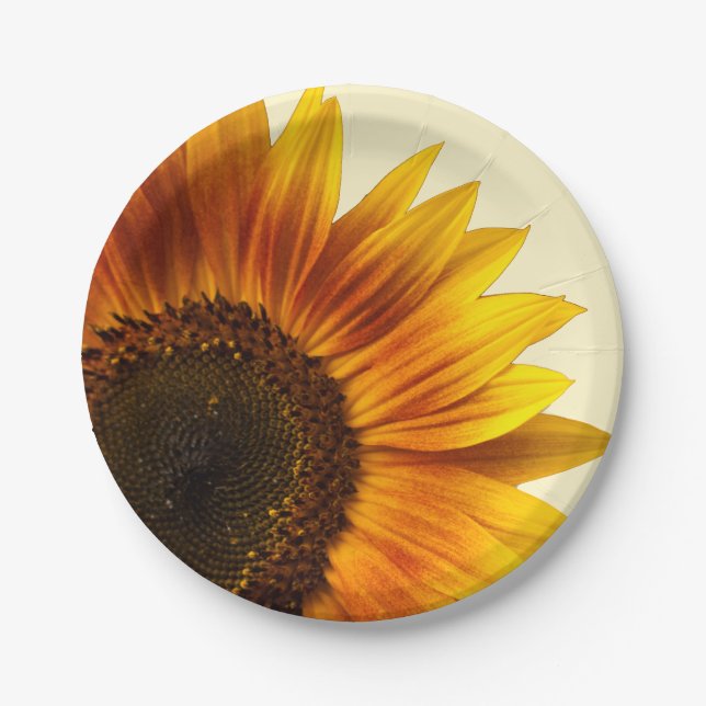 Plato De Papel Girasol (Anverso)