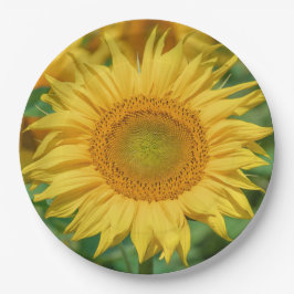 Plato De Papel Girasol