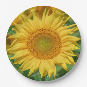 Plato De Papel Girasol
