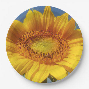 Plato De Papel Girasol amarillo
