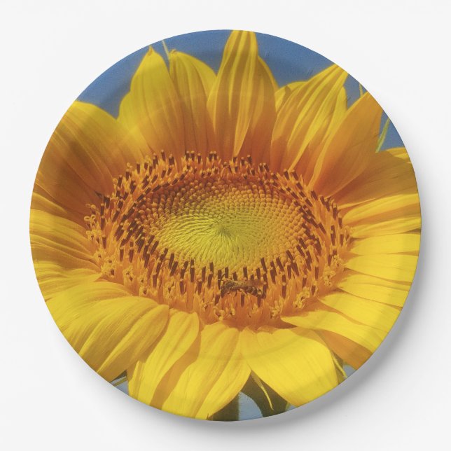 Plato De Papel Girasol amarillo (Anverso)