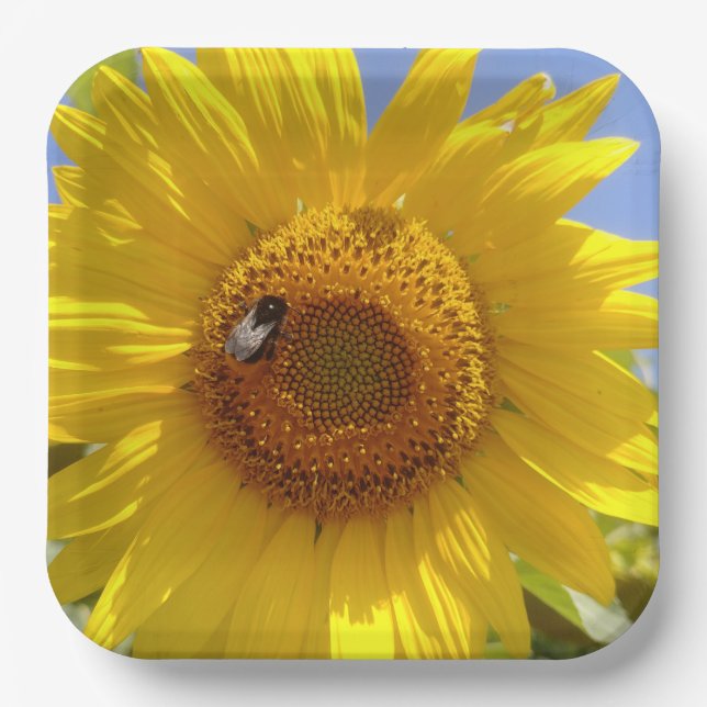 Plato De Papel Girasol amarillo (Anverso)